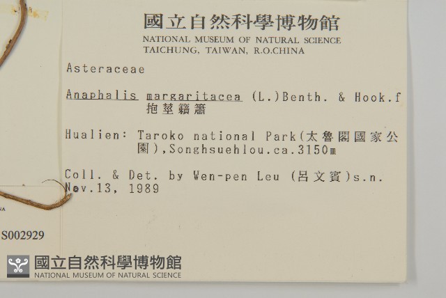 玉山抱莖籟簫藏品圖，第2張