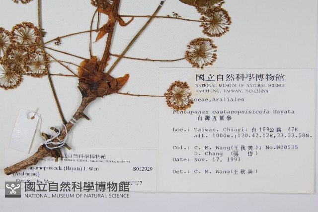 登錄號:S012929藏品圖，第5張