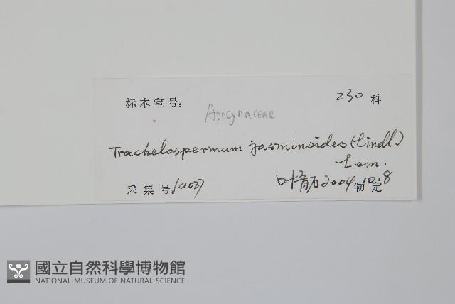 絡石藏品圖，第2張