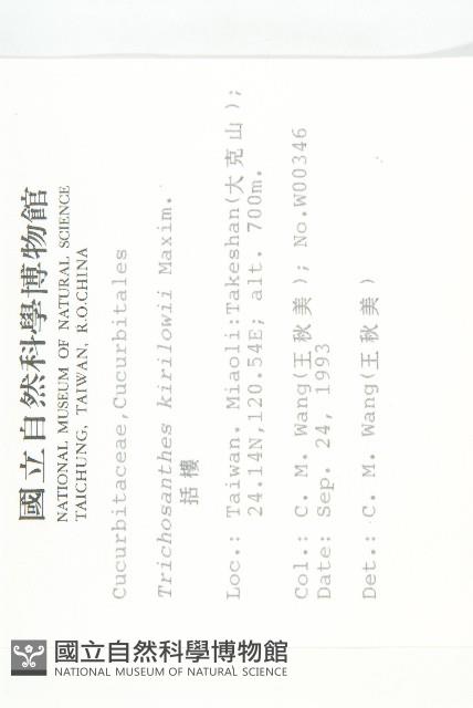 括樓藏品圖，第2張