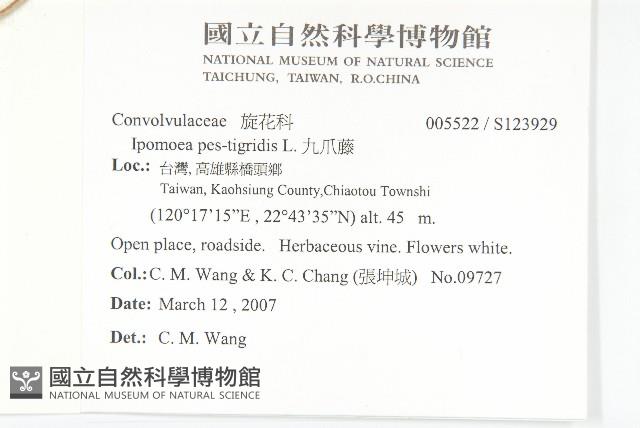 九爪藤藏品圖，第2張