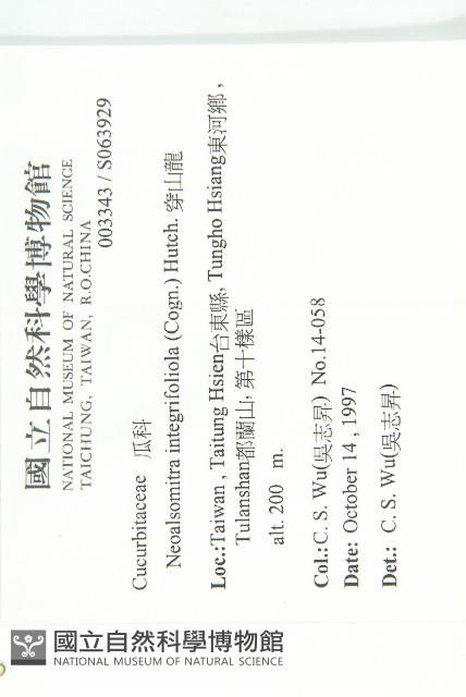 穿山龍藏品圖，第2張