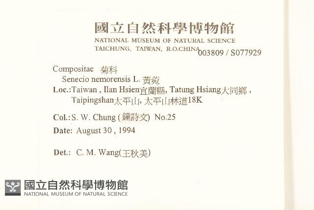 黃菀藏品圖，第2張