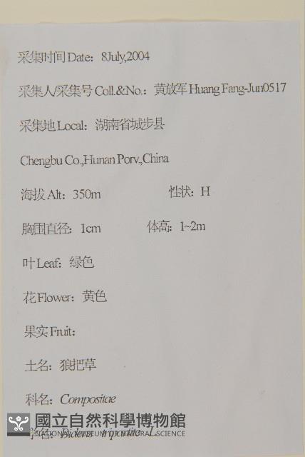 狼把草藏品圖，第2張