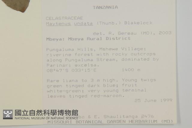 登錄號:S093529藏品圖，第2張