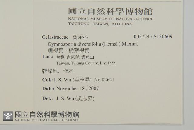 刺裸實、變葉裸實藏品圖，第2張