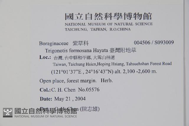 臺灣附地草藏品圖，第2張