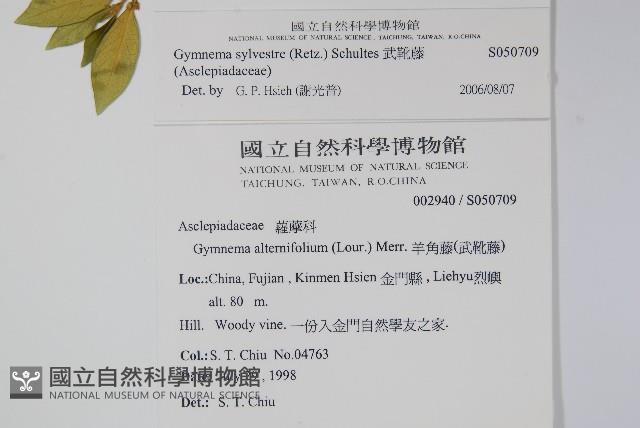 武靴藤藏品圖，第2張