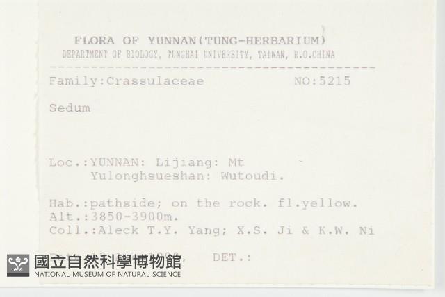 登錄號:S031709藏品圖，第2張