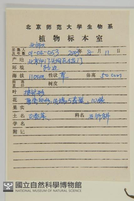 女婁菜藏品圖，第2張