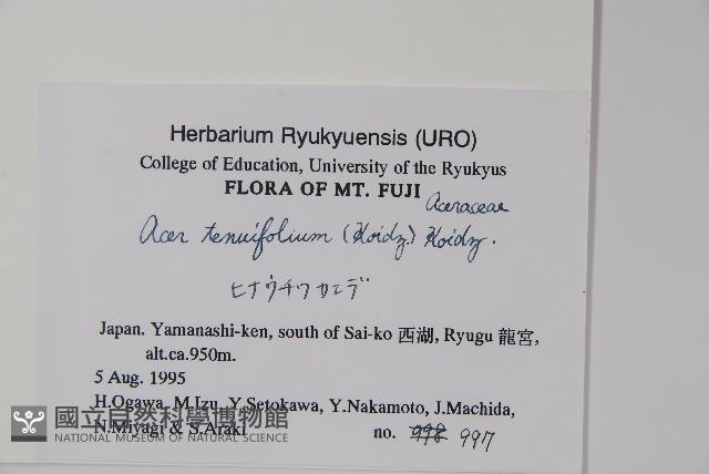 登錄號:S051209藏品圖，第2張