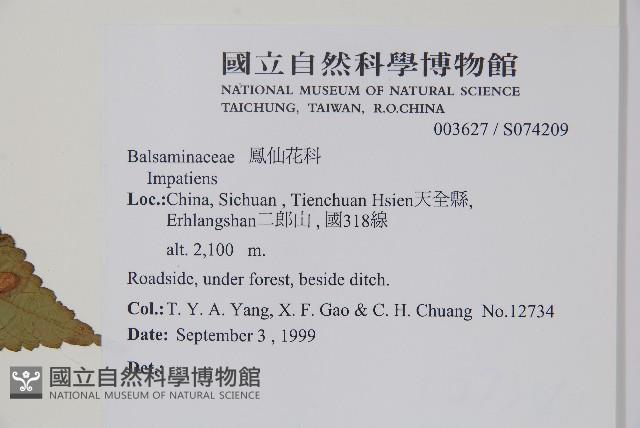 登錄號:S074209藏品圖，第2張