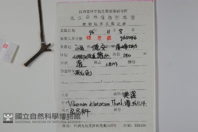 莢迷藏品圖，第2張