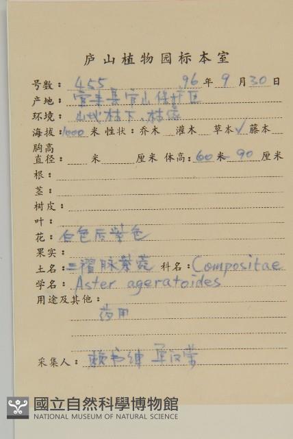 山白蘭藏品圖，第2張