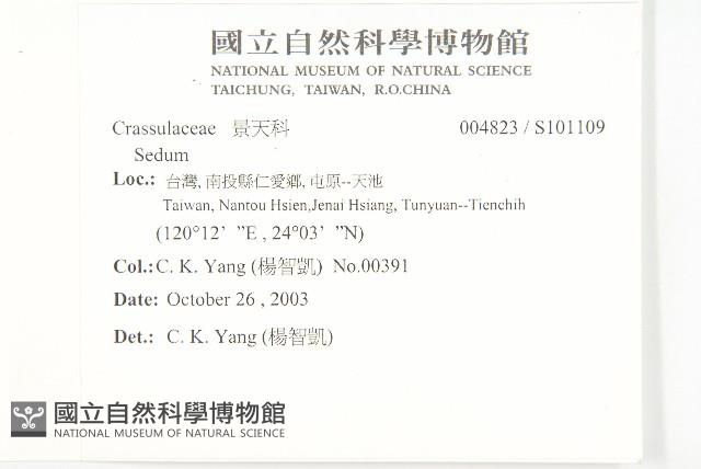 登錄號:S101109藏品圖，第2張