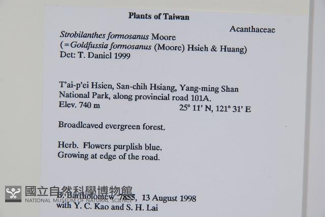 臺灣馬藍藏品圖，第2張