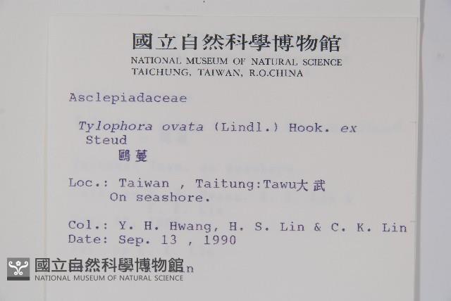 鷗蔓藏品圖，第2張