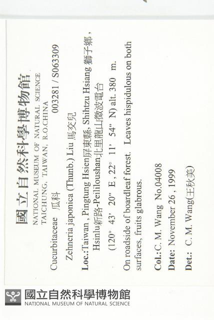 馬交兒藏品圖，第2張