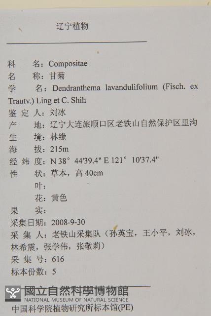 姜菱菊藏品圖，第2張