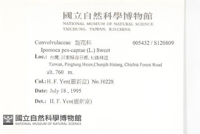 登錄號:S120809藏品圖，第2張