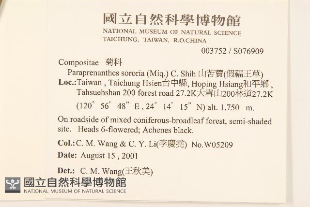 山苦藚、假福王草藏品圖，第2張