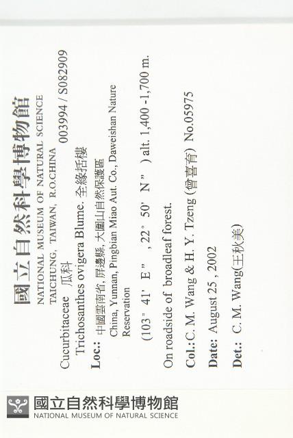 全緣括樓藏品圖，第2張