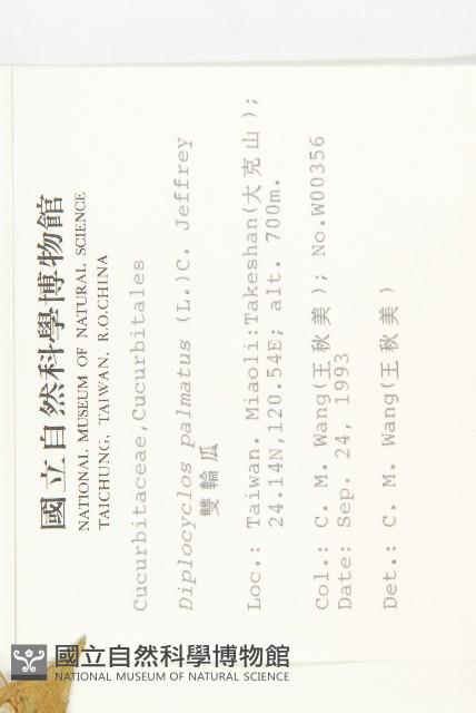 雙輪瓜藏品圖，第2張