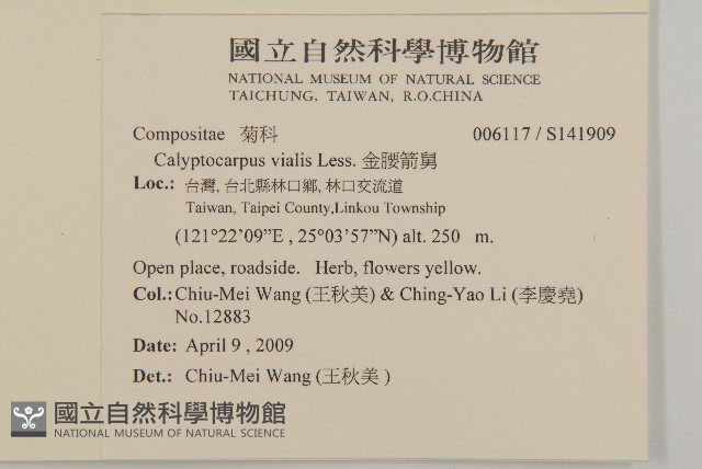 金腰箭舅藏品圖，第2張