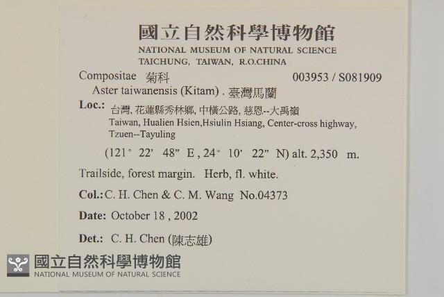 臺灣馬蘭藏品圖，第2張