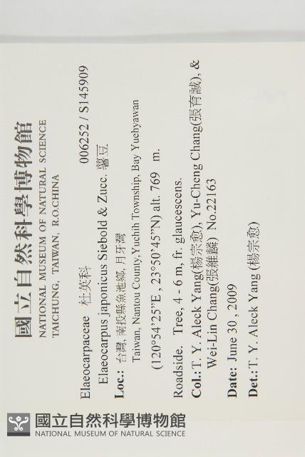 薯豆藏品圖，第2張