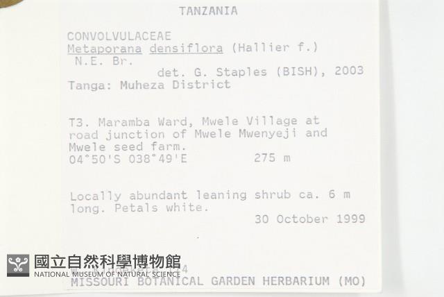 登錄號:S093909藏品圖，第2張