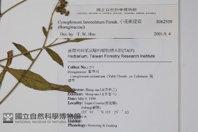 小花倒提壺藏品圖，第2張