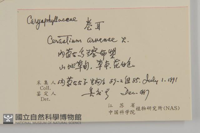 卷耳藏品圖，第2張