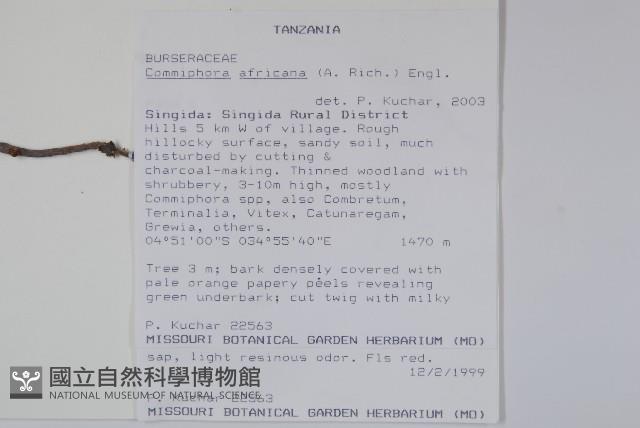 登錄號:S093619藏品圖，第2張