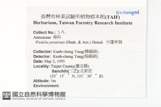 天蓬草舅藏品圖，第2張