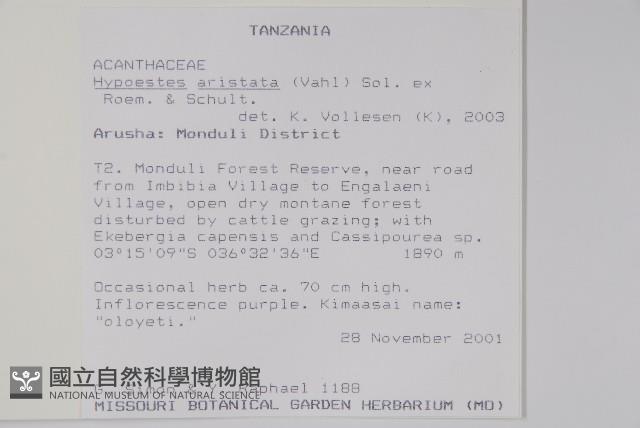 登錄號:S101019藏品圖，第2張