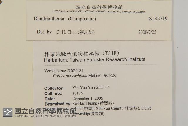 登錄號:S132719藏品圖，第2張