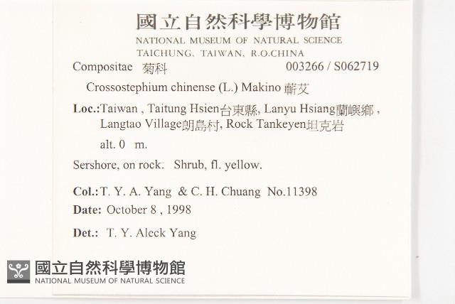 蘄艾、芙蓉菊藏品圖，第2張