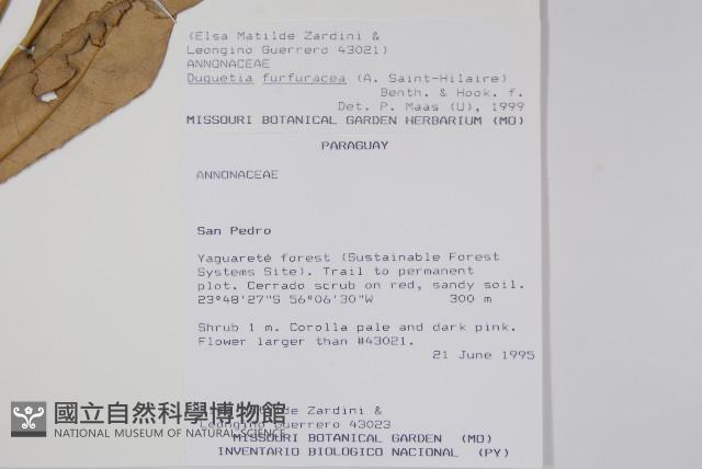 登錄號:S080719藏品圖，第2張