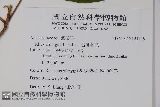 臺灣藤漆藏品圖，第2張