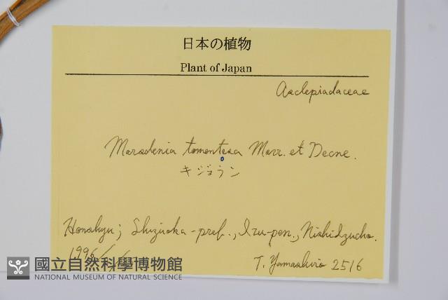 假防己藏品圖，第2張