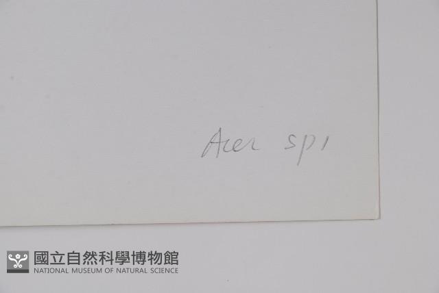 登錄號:S023219藏品圖，第2張