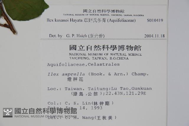 草野氏冬青藏品圖，第2張