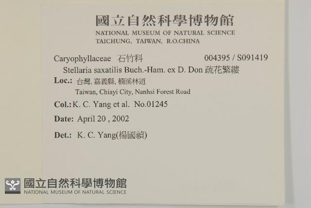 疏花繁縷藏品圖，第2張