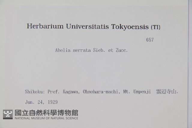 登錄號:S082119藏品圖，第2張