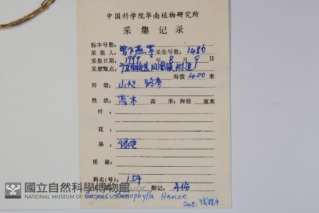 登錄號:S085119藏品圖，第2張