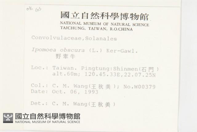 野牽牛藏品圖，第2張