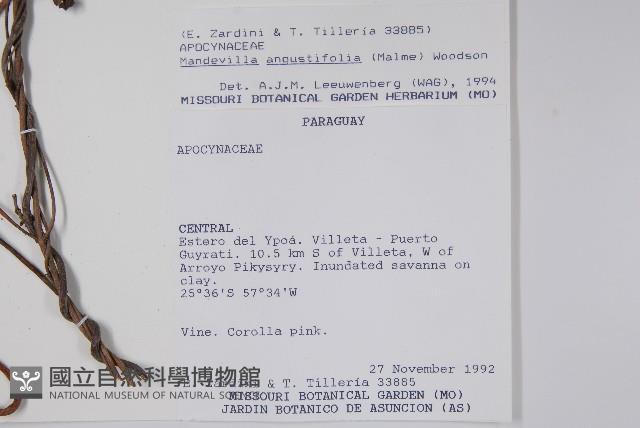 登錄號:S062319藏品圖，第2張