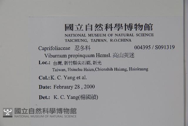 高山莢迷藏品圖，第2張