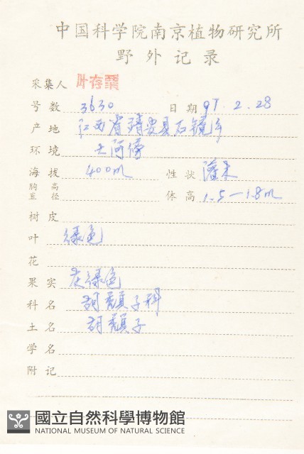 胡頹子藏品圖，第2張